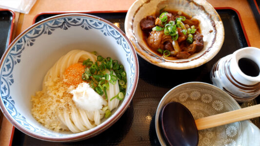 牛すじぶっかけうどん